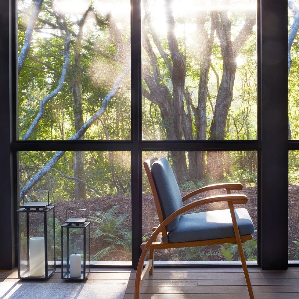 screened in porch in the forest with dappled light