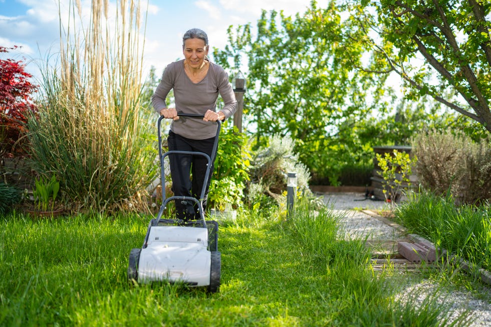 cost of garden waste