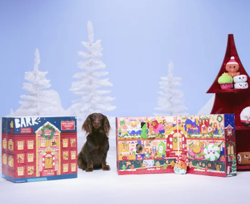 dog with advent calendar