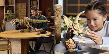 two builders, a man and a young girl, putting together two dinosaur themed lego sets