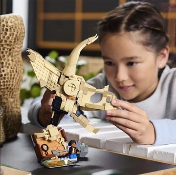two builders, a man and a young girl, putting together two dinosaur-themed LEGO sets two builders, a man and a young girl, putting together two dinosaur themed lego sets
