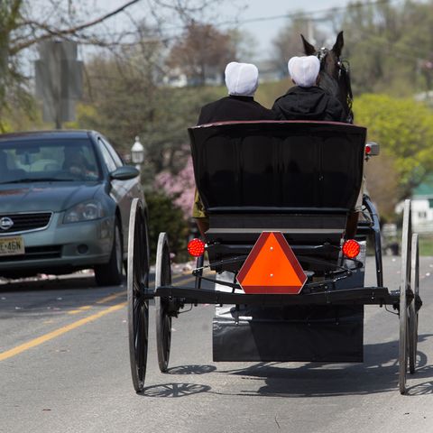 Costco Lancaster, PA Amish