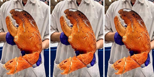 Costco Shopper Finds $80 Lobster Mistakenly Selling for $18