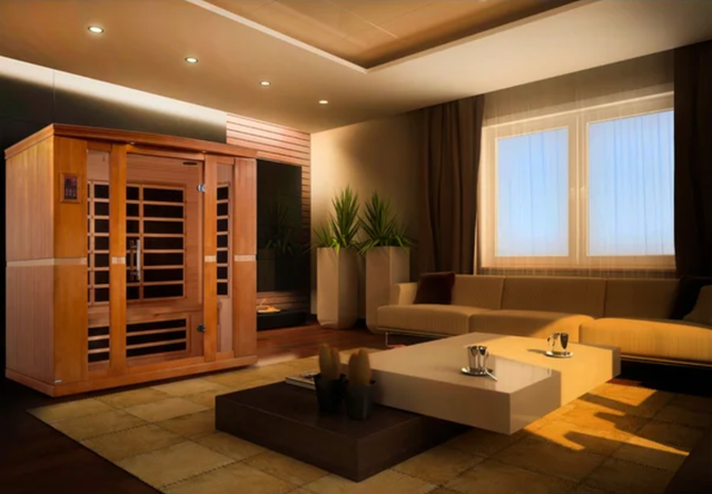 costco dynamic bergamo 4person indoor low emf far infrared sauna