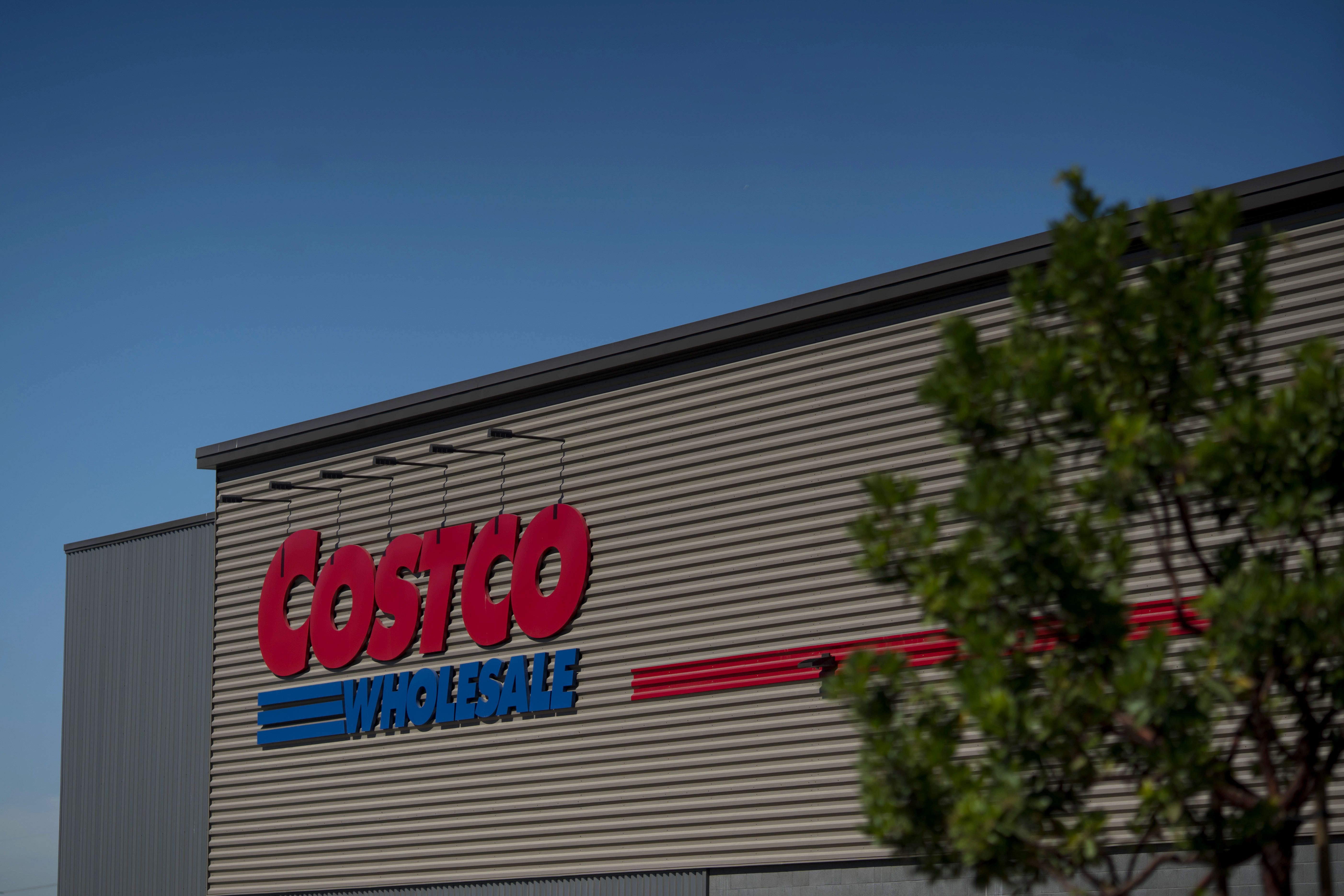 Costco discount lounger outdoor