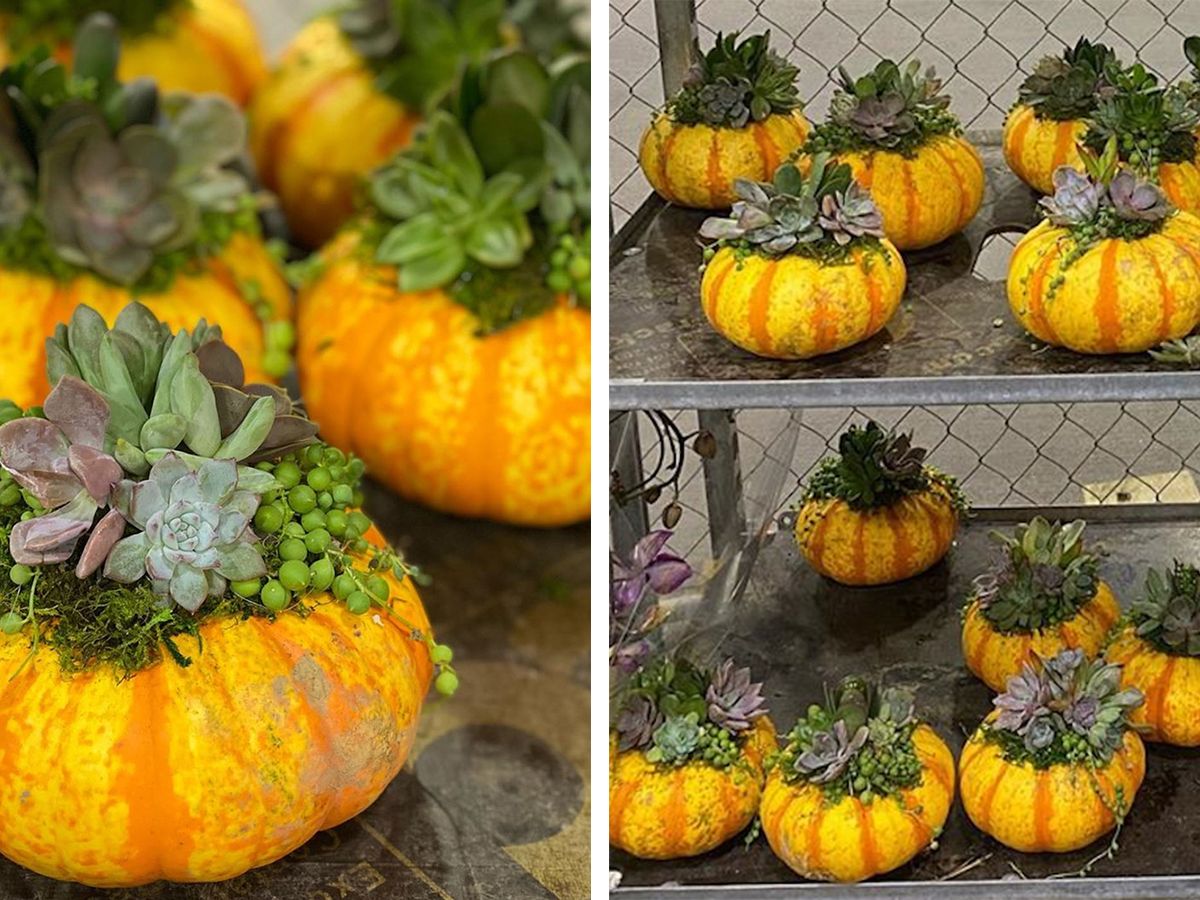 Thanksgiving Centerpiece Ideas from Costco
