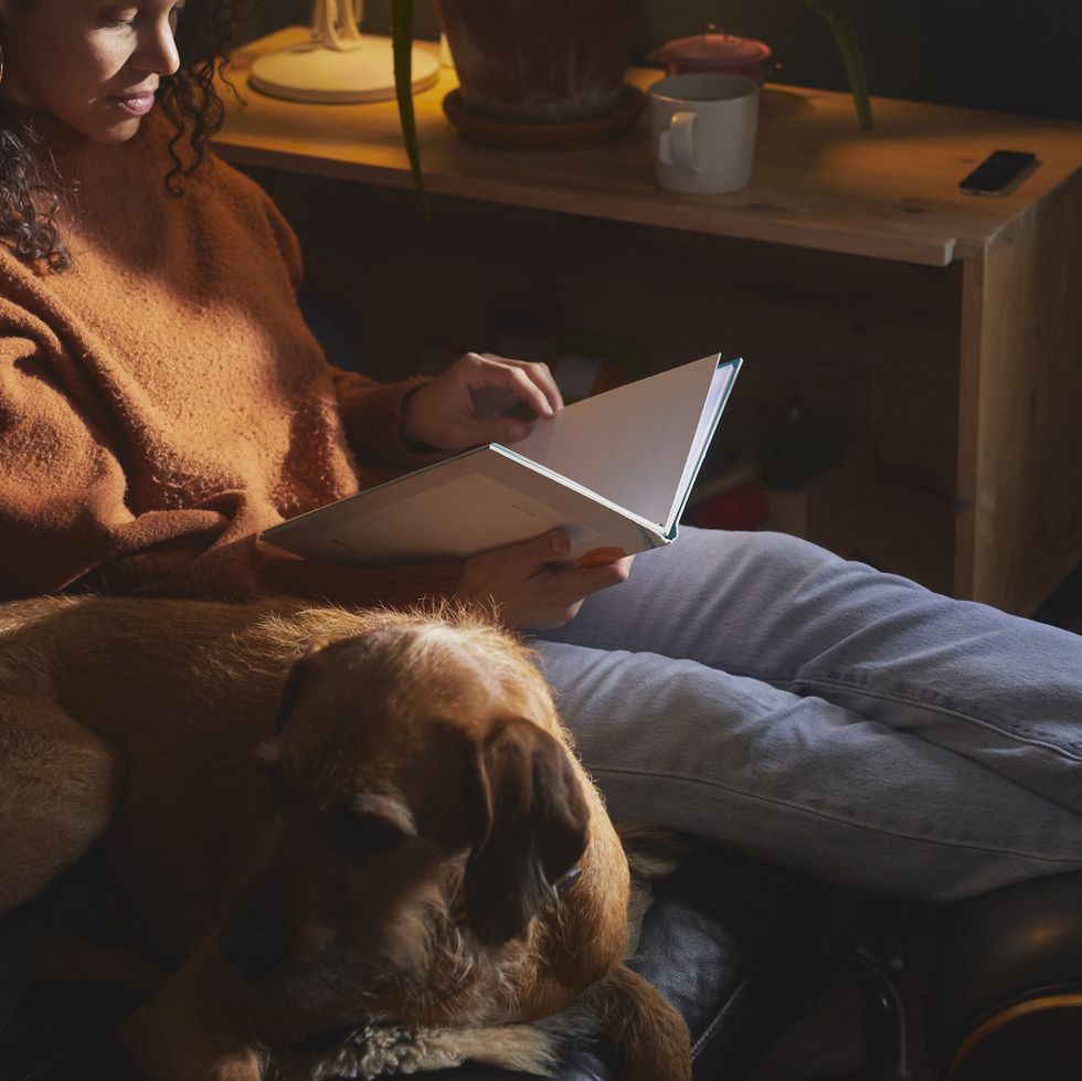 woman reading book with feet up on sofa next to dog