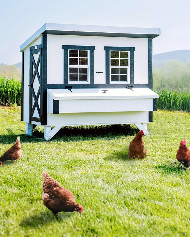 costco large farmhouse chicken coop in white