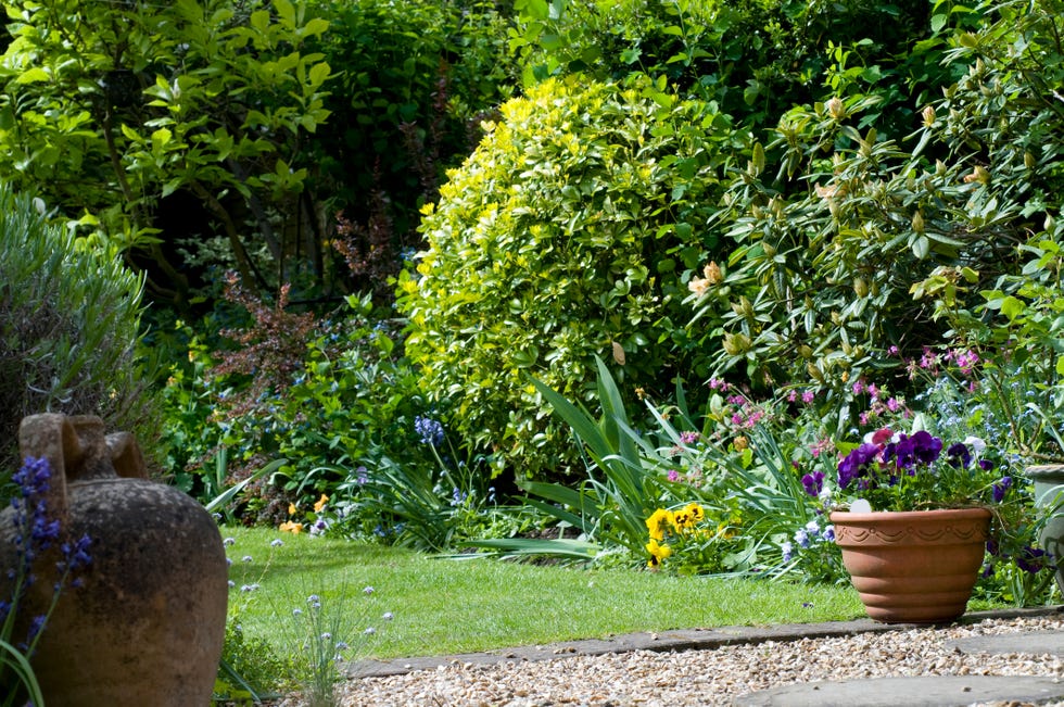 front garden ideas a cute cottage garden