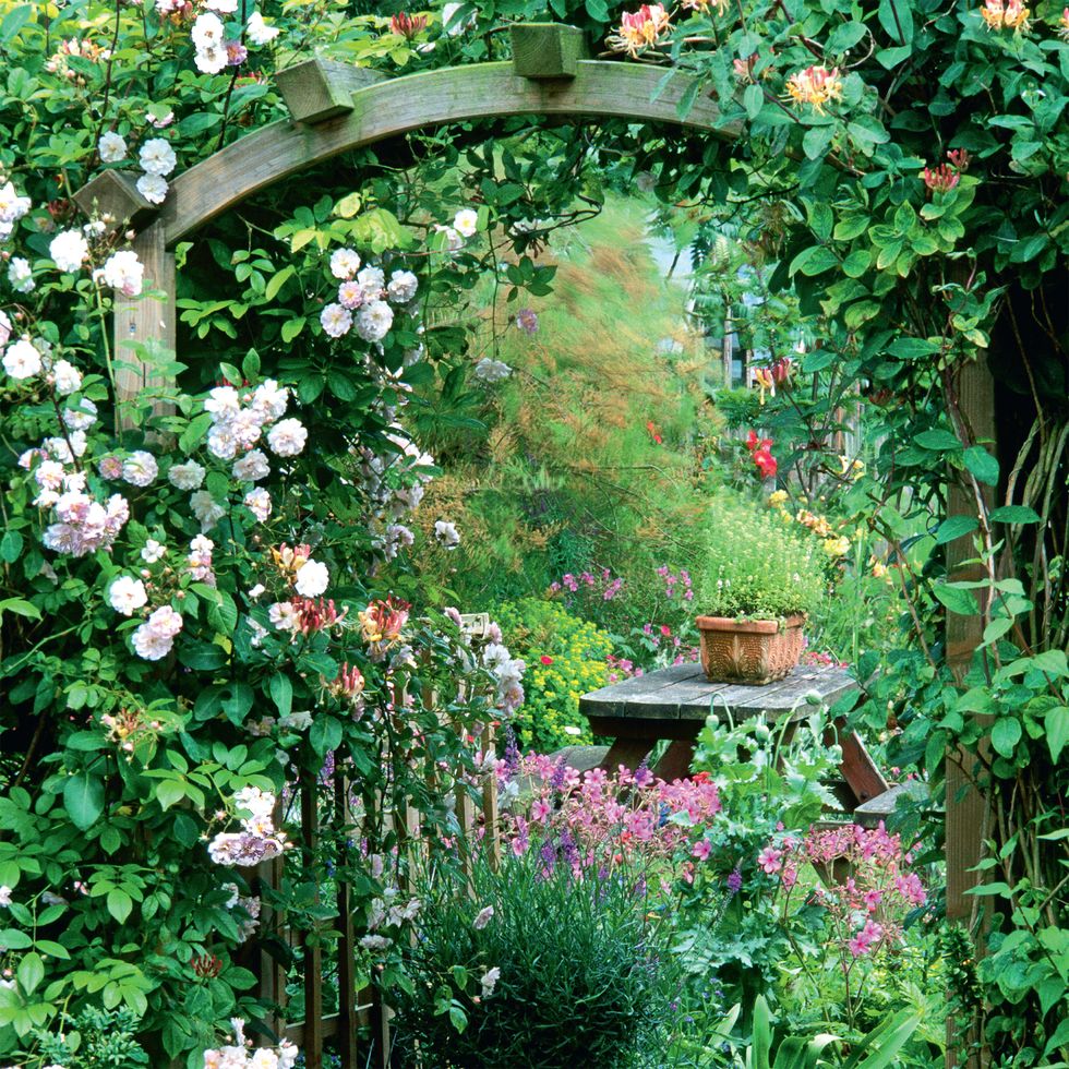 8 Best Cottage Garden Ideas - How to Create a Cottage Garden at Home