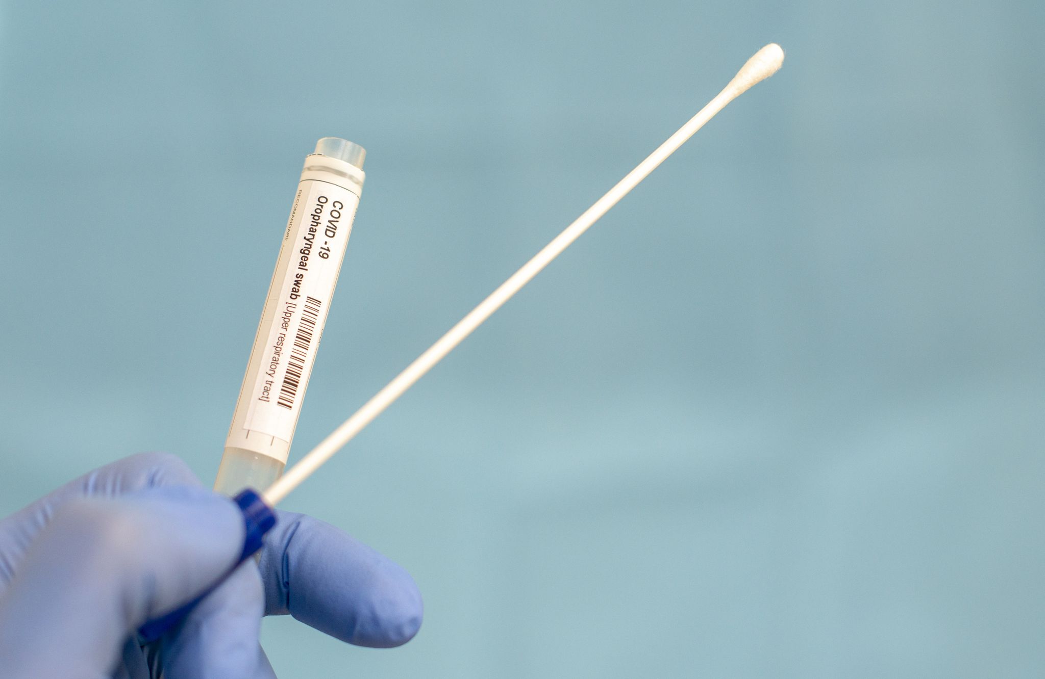cotton swab and test tube for coronavirus test covid 19, macro image of medical equipment in hands of healthcare professional