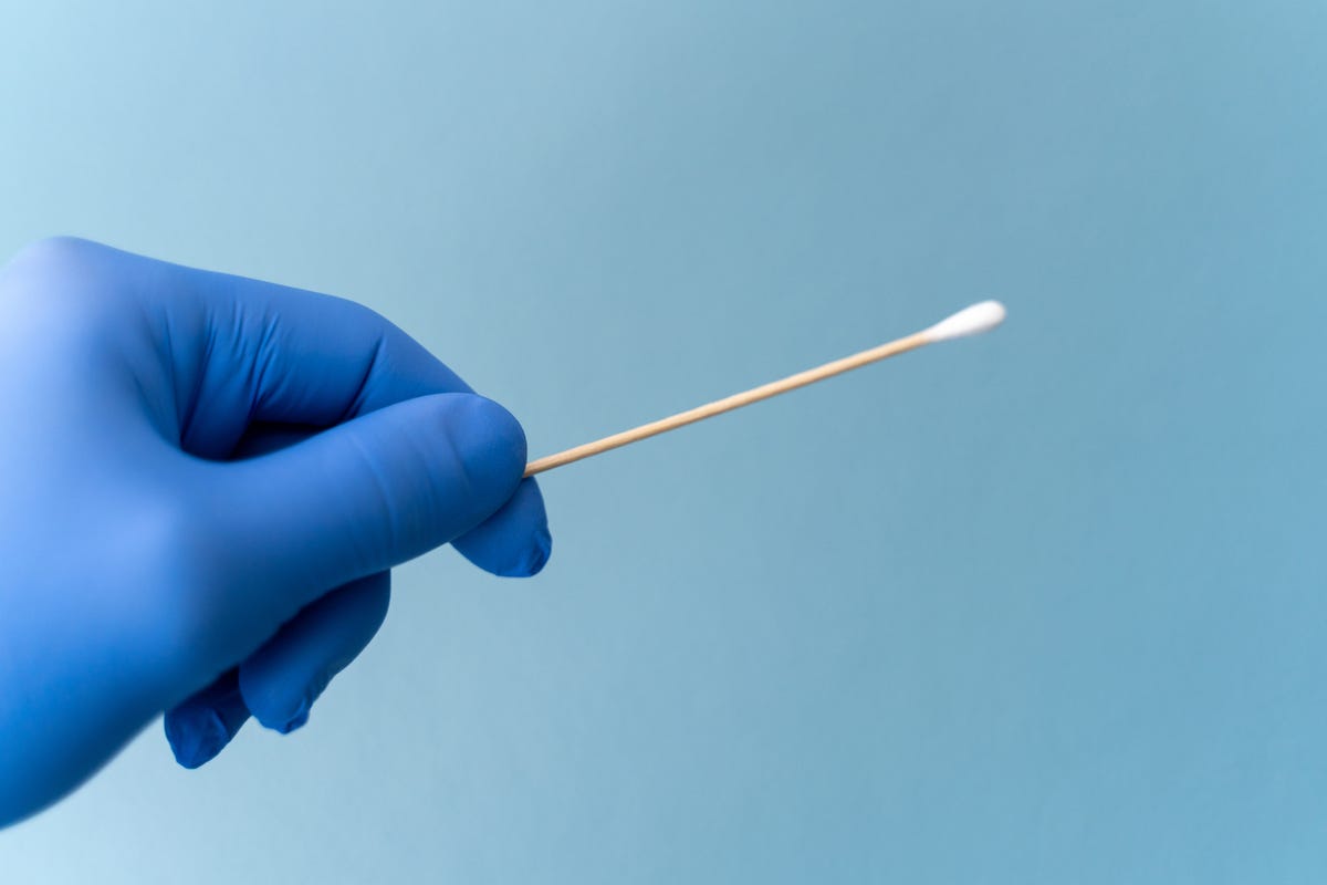 cotton swab held by hand wearing blue medical glove