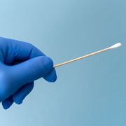 cotton swab held by hand wearing blue medical glove