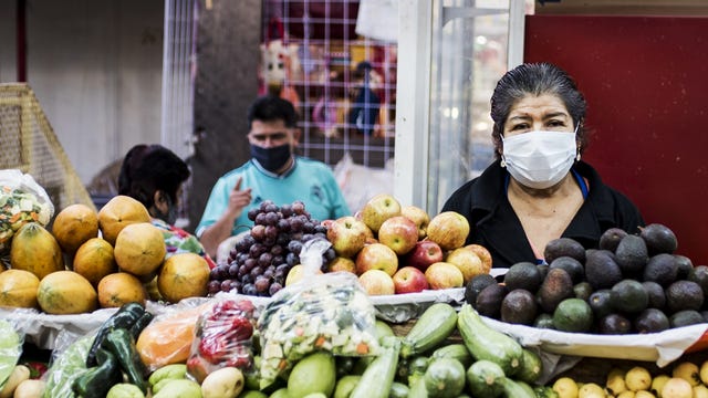 Sophia Roe's Counter Space Explores How Food Shapes Our World