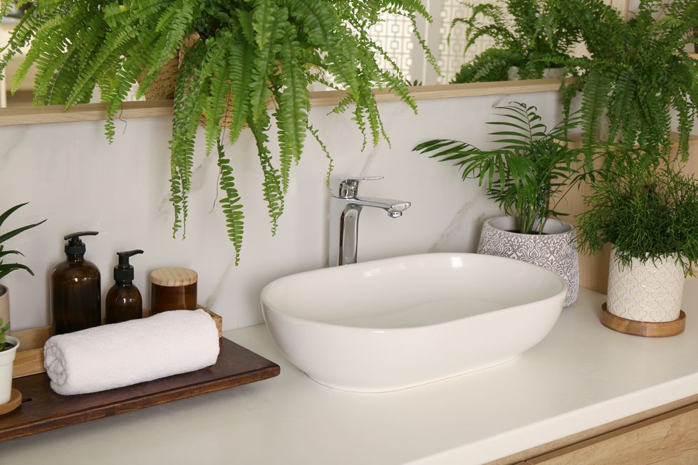 counter with sink and many different houseplants near white marble wall