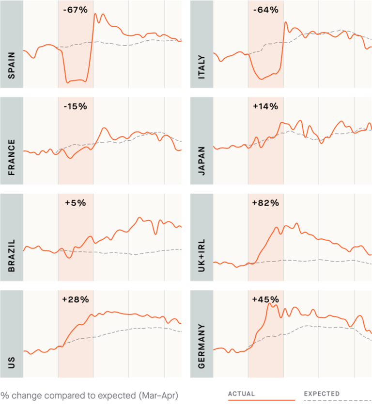 strava year in sport