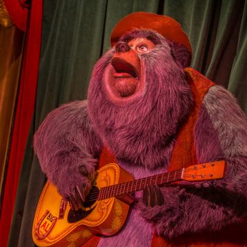 a character from disney's country bear jamboree