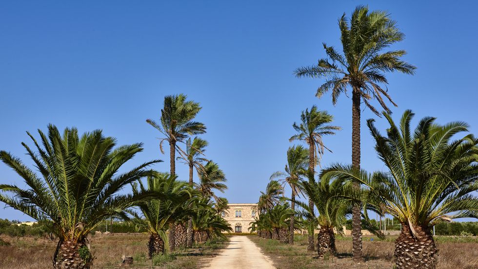 masseria pugliese