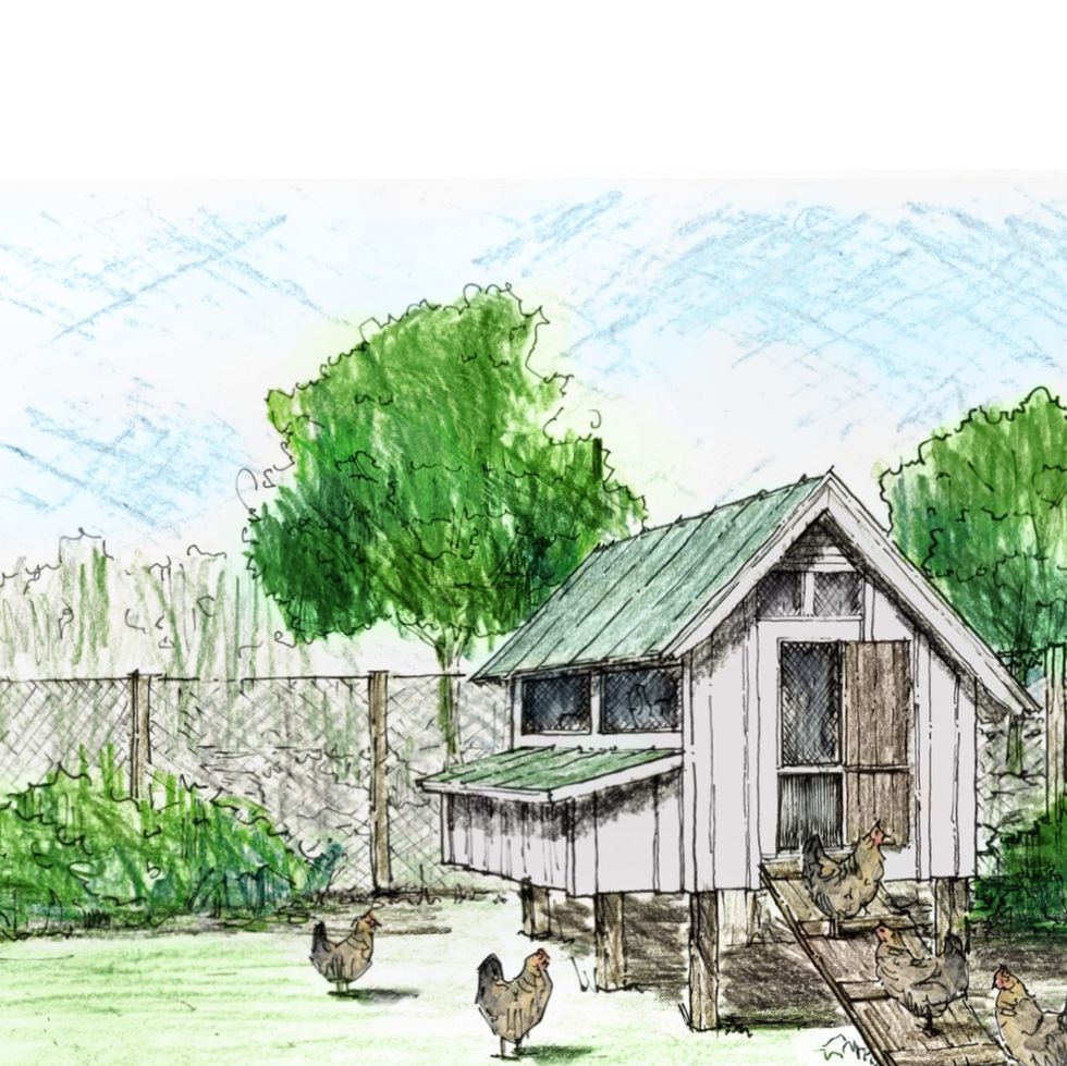 Country Living Chicken Coop Plan