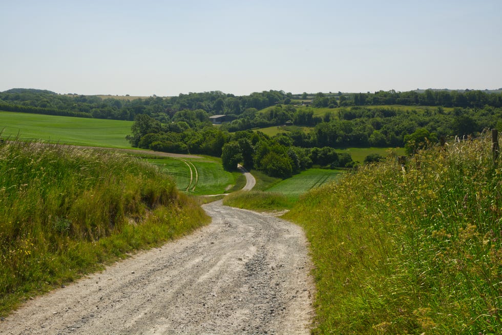 a gravel road winding through hilly farmland