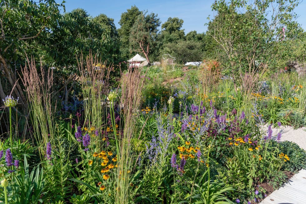 Hampton Court Palace Flower Show 2018 - Inside Countryfile’s 30th ...