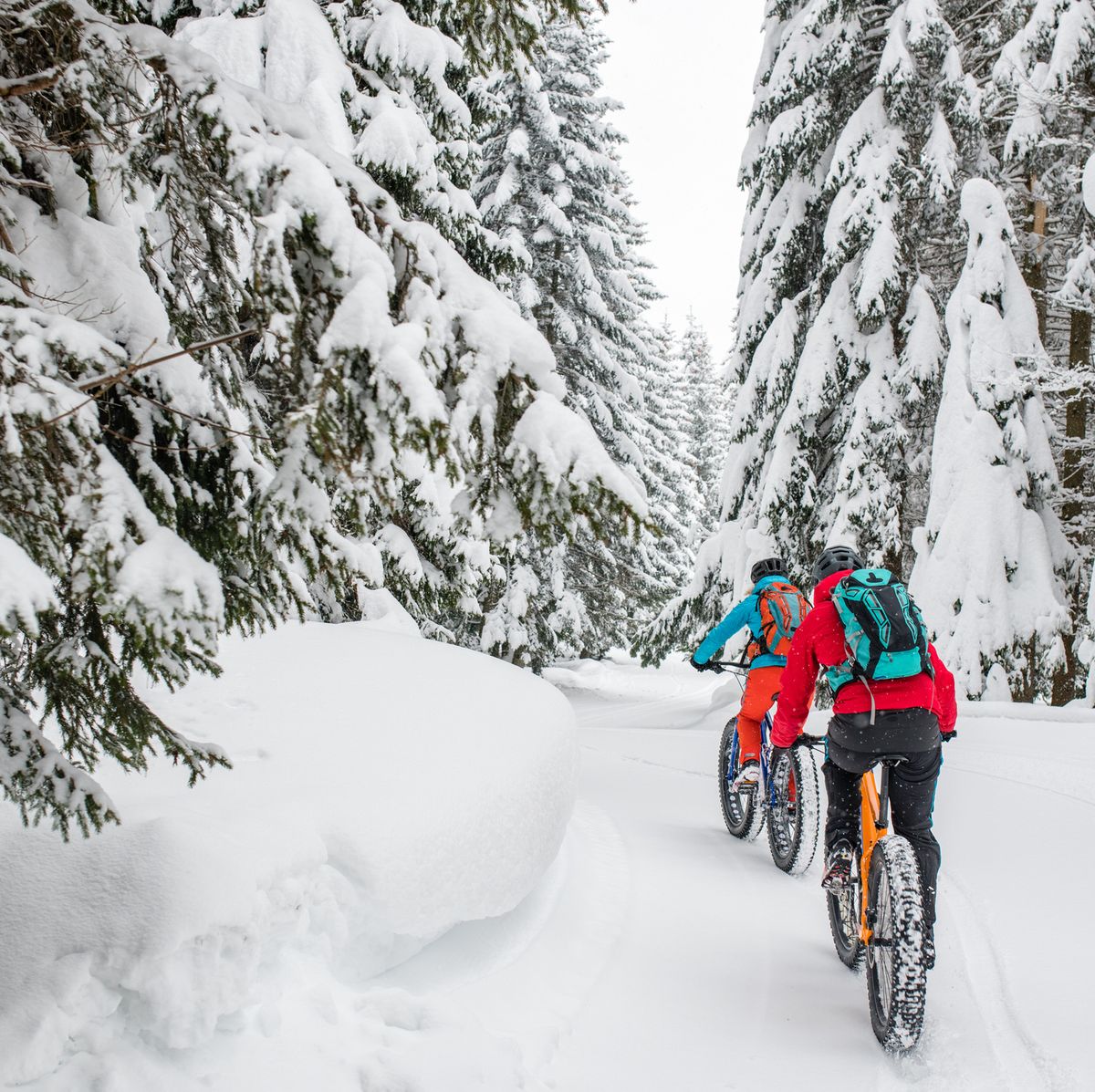couple riding their fat bikes on snowy forest trail