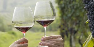 couple toast with red wine in vineyard