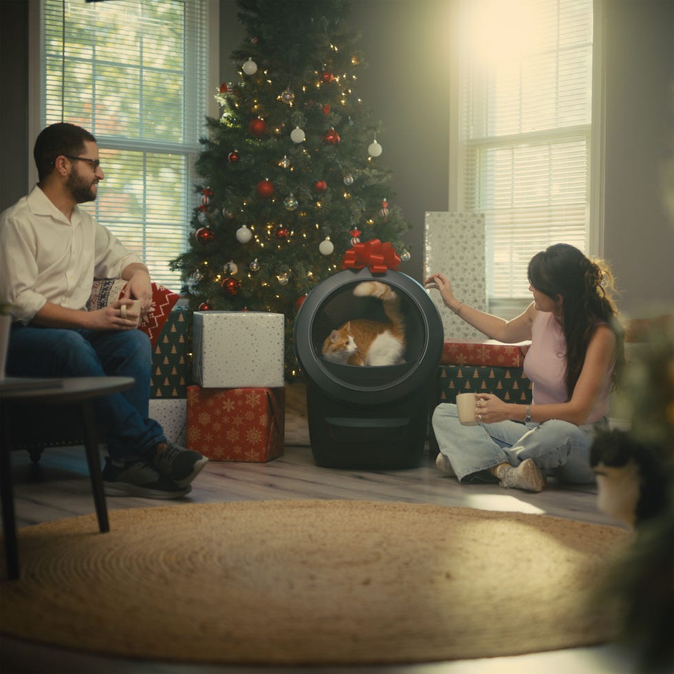 litter robot 4
