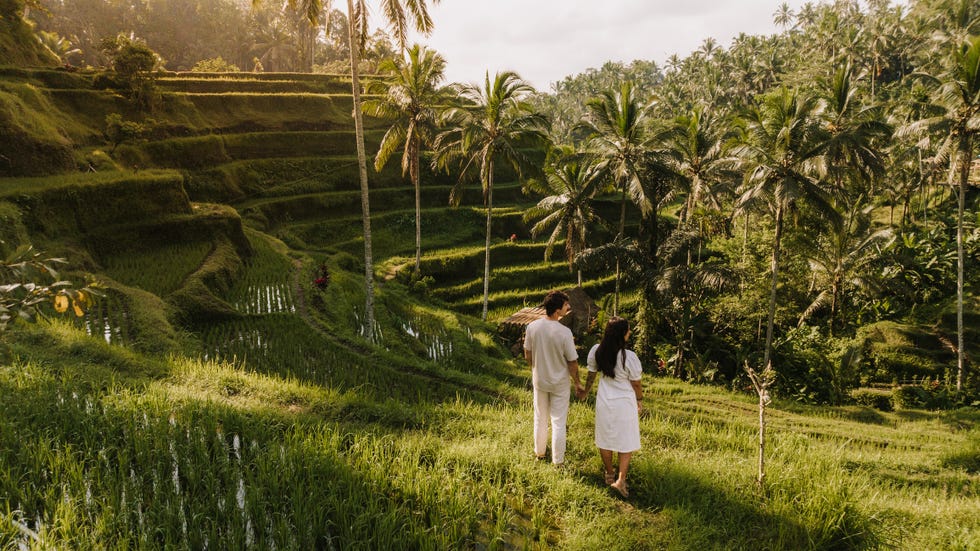 couple visiting a rice field in bali