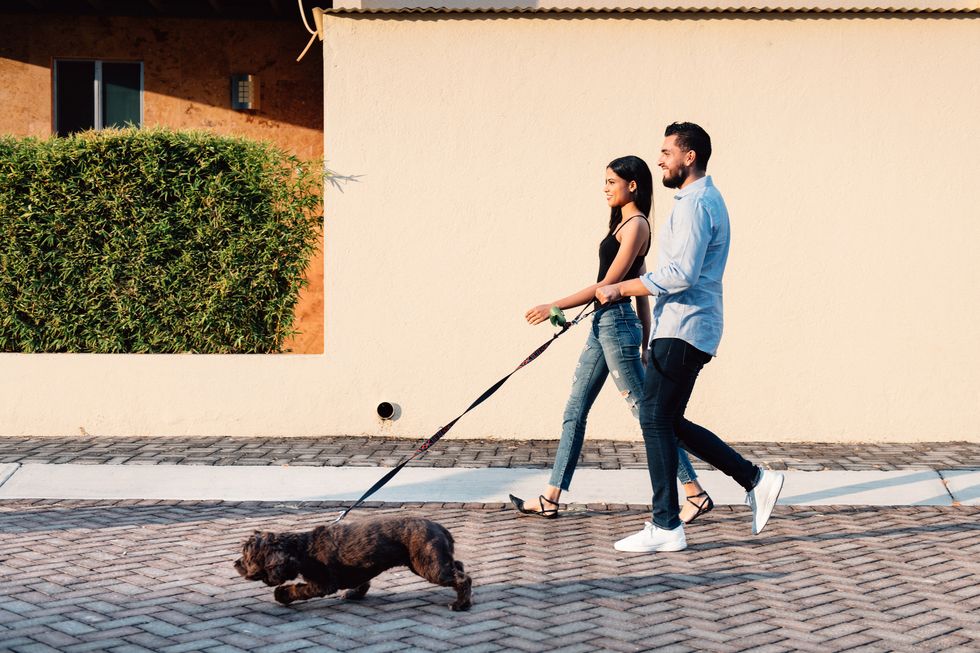 couple walking a dog