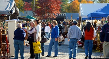 people, public space, tree, yellow, leaf, crowd, market, autumn, pedestrian, event,