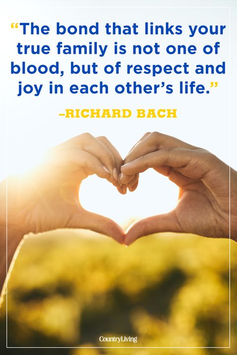 cousin quotes richard bach