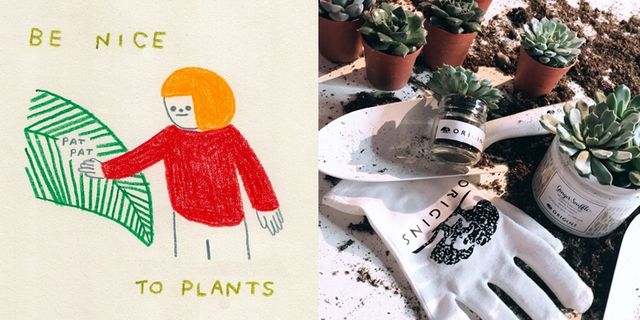 Illustration, Plant, 
