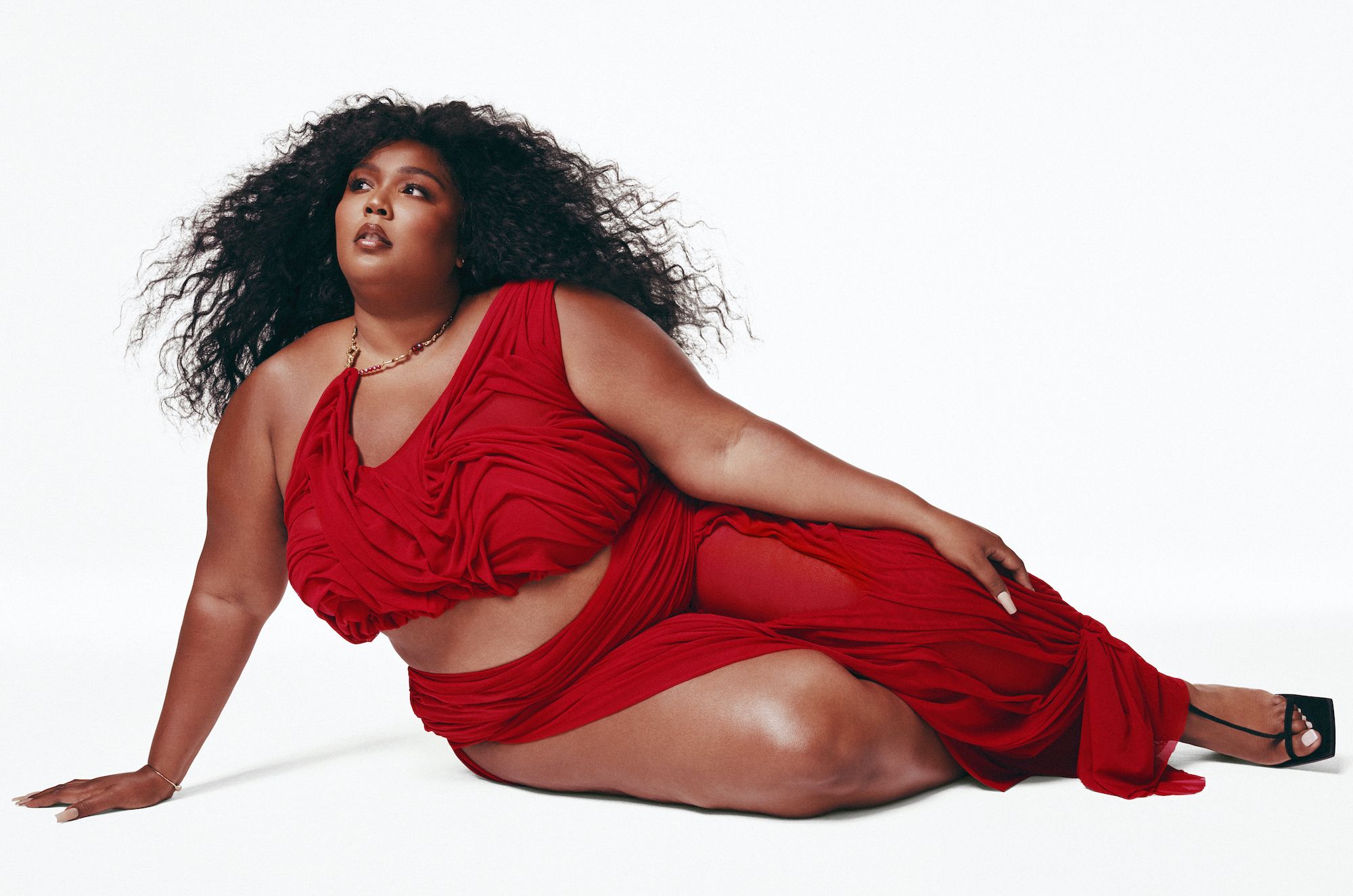  Lizzo (African American Superstars): 9781725326118: McKay, C.  R.: Books