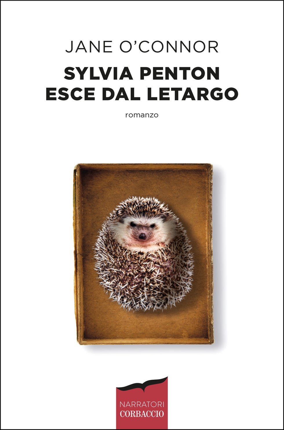 Hedgehog, Erinaceidae, Porcupine, 