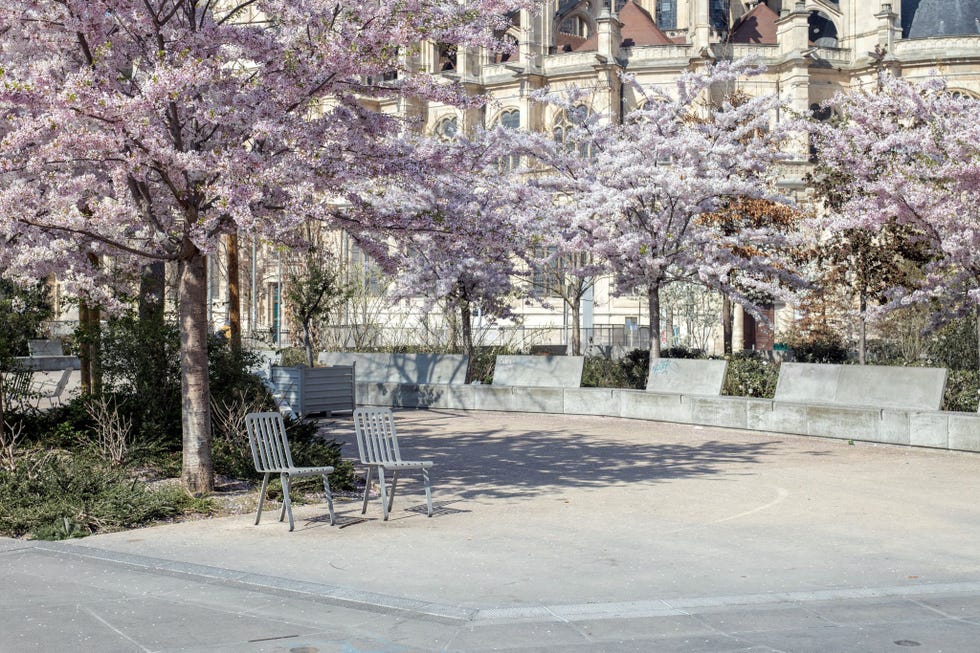 Wandelaars die nu thuis opgesloten zitten missen de pracht van de lente in de Jardin des Halles in het centrum van Parijs