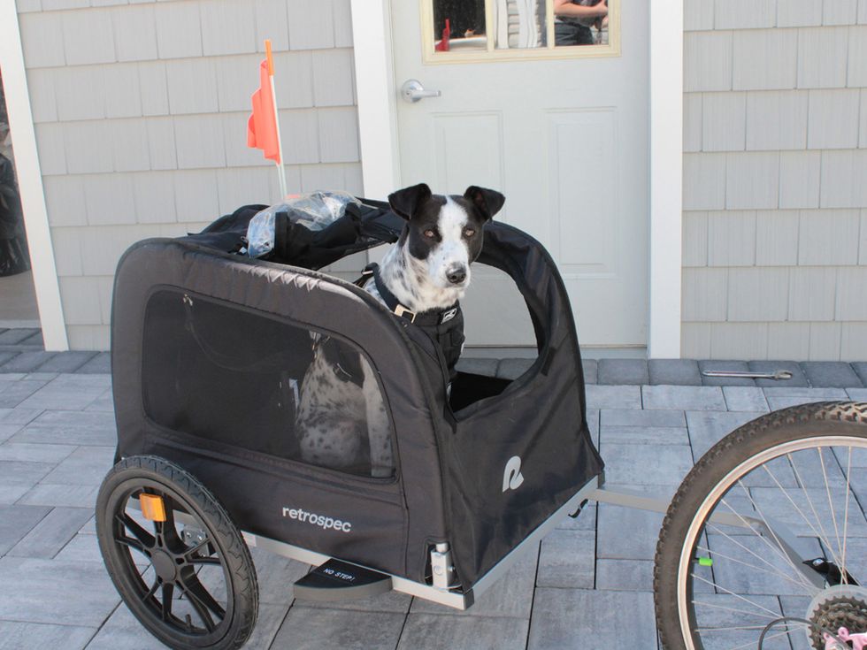 Doggo Bike™ trailer - The bike trailer stroller jogger meant for dogs
