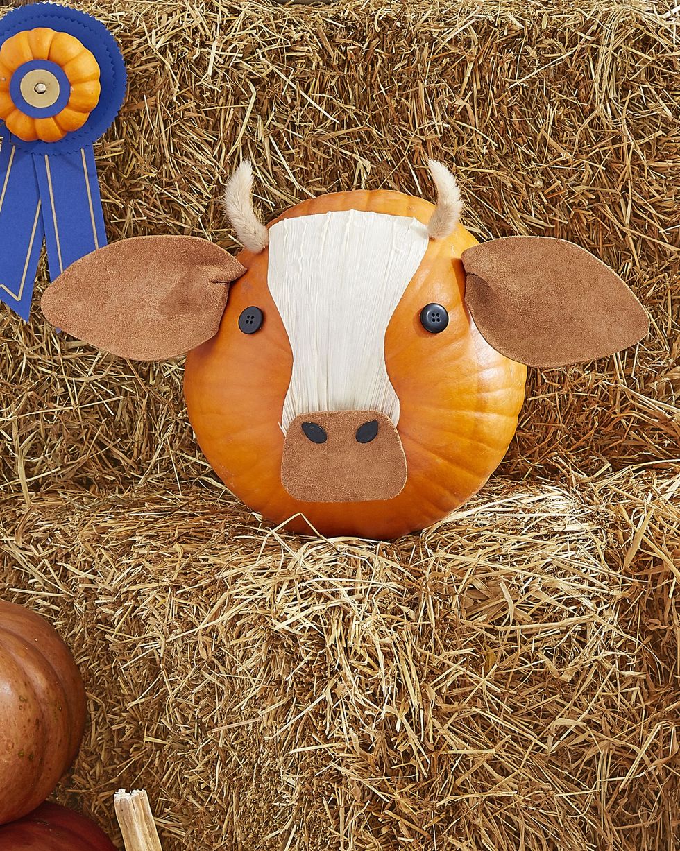 cow pumpkin face idea