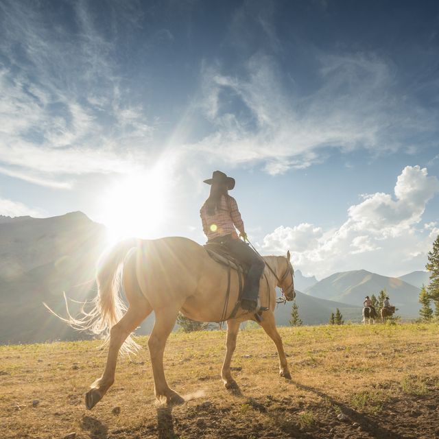 cowgirl follows companions across mountain meadow