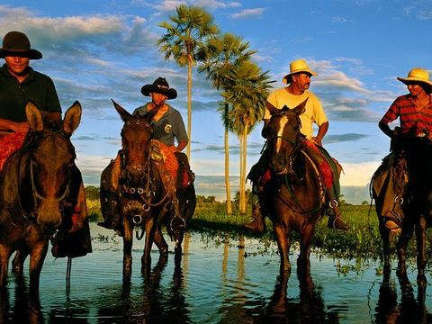 Tijdens het overstromingenseizoen in de Pantanal een ecosysteem met moerassen in delen van Brazili Bolivia en Paraguay rusten cowboys uit op de ruggen van ezels en paarden Steeds vaker leiden boeren in de enorme door land ingesloten rivierdelta ecotoeristen rond om zo de inkomsten uit hun veestapel aan te vullen