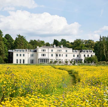 Coworth Park Hotel UK exterior meadow coworth park hotel uk exterior meadow