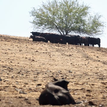 california in third consecutive year of drought