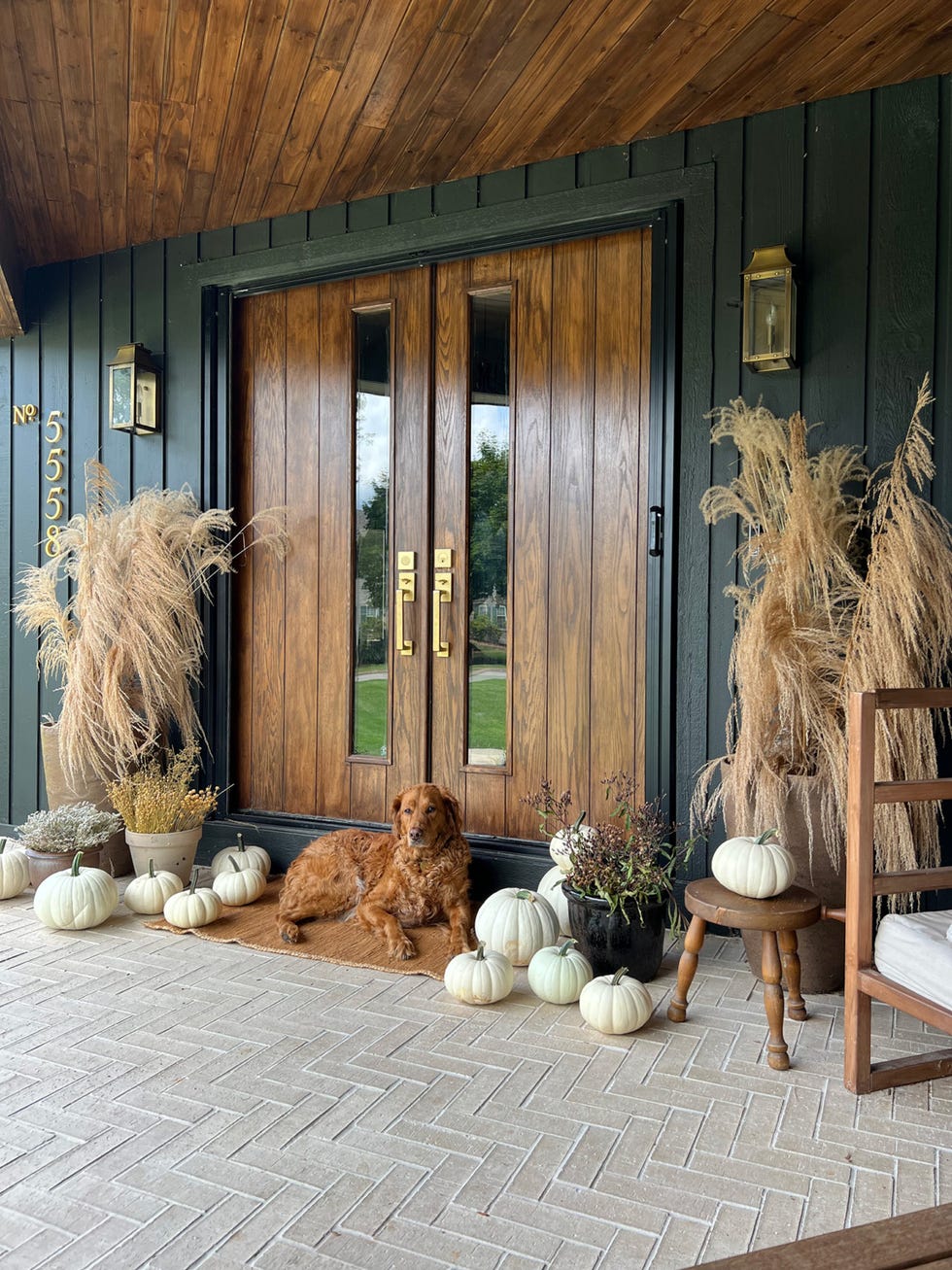 dog sitting in front door