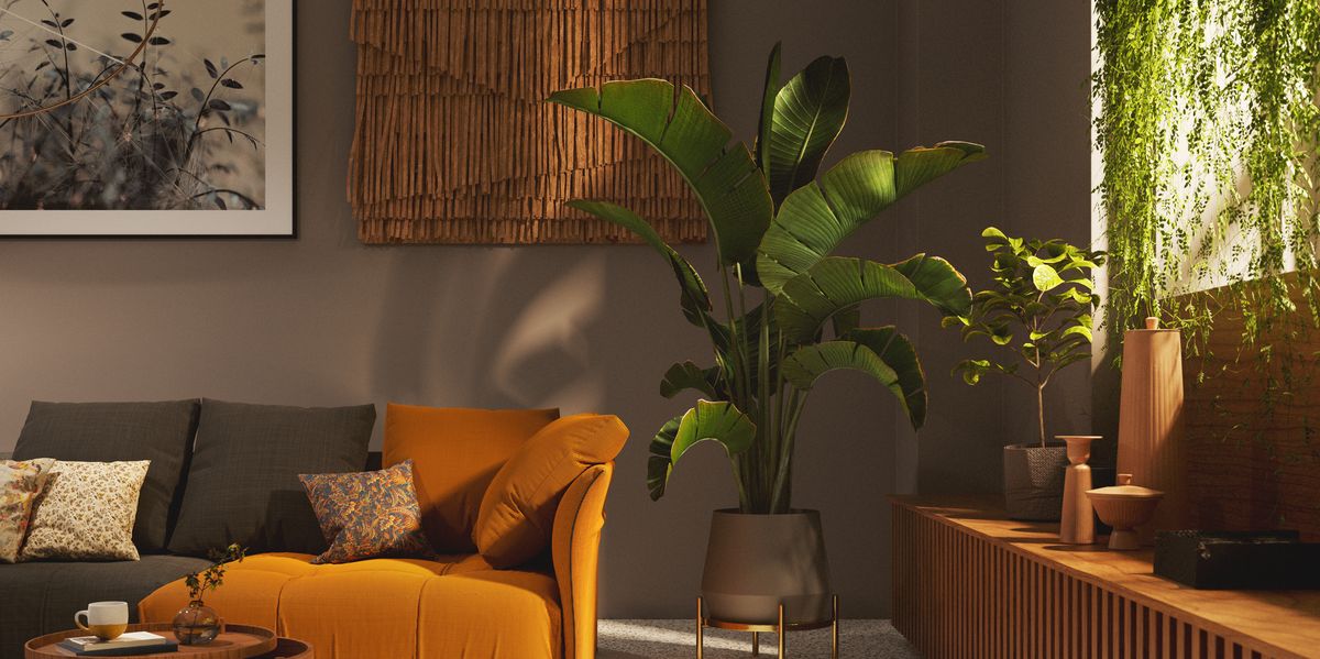 Amazon's Killer Spring Sale Includes Rare Houseplant Deals—Like $50 Fiddle Leaf Figs!
