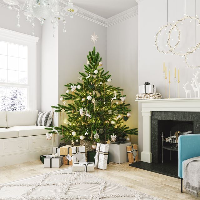 https://hips.hearstapps.com/hmg-prod/images/cozy-living-room-with-fireplace-and-christmas-royalty-free-image-1629317391.jpg?crop=0.611xw:0.917xh;0.125xw,0.0202xh&resize=640:*
