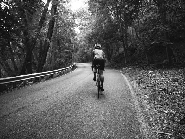 Cycling, Bicycle, Cycle sport, Black, White, Road cycling, Outdoor recreation, Vehicle, Recreation, Tree, 
