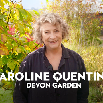 caroline quentin devon garden