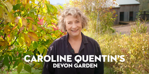 caroline quentin devon garden