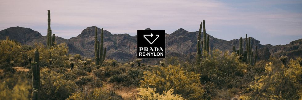 Saguaro, Mountain, Natural landscape, Wilderness, Ridge, Landscape, Plant community, Chaparral, National park, Signage, 