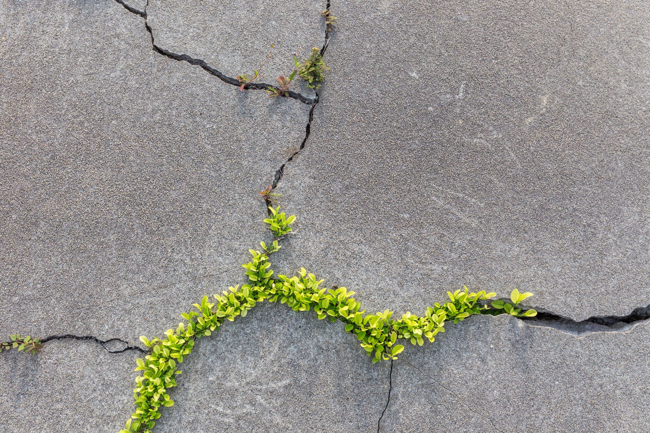 cracks-royalty-free-image-1748898875.pjpeg